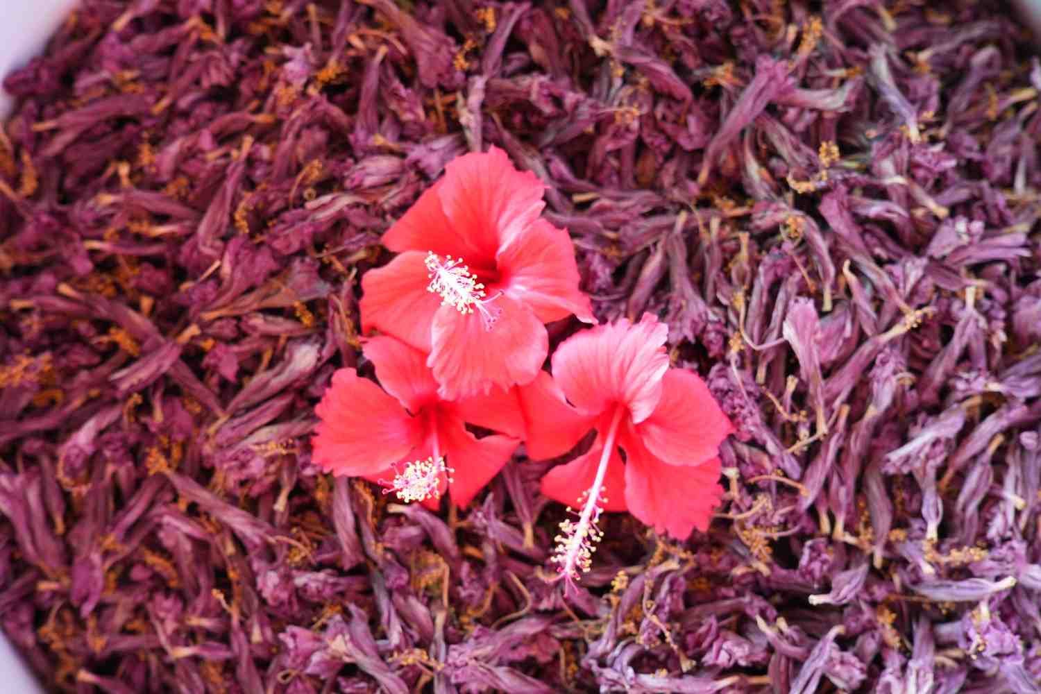 Natural Dry Hibiscus Flower at Rs 200/kg in Hoshangabad